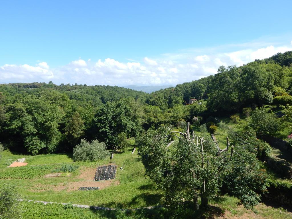 Bed and Breakfast I Lecci Lerici Zewnętrze zdjęcie